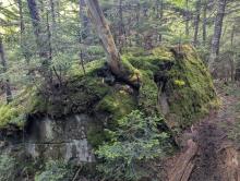 Elk Lake - Marcy trail
