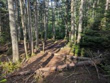 Elk Lake - Marcy trail