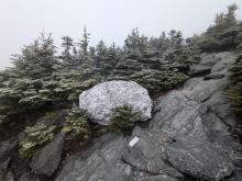 Trail up Abraham