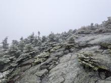 Top of Abraham