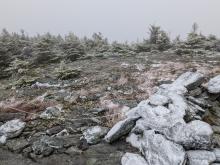 Top of Abraham
