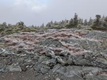 Top of Abraham