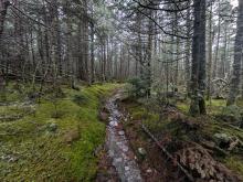 Trail between Abraham and Ellen