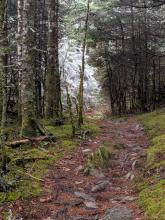 Trail between Abraham and Ellen