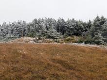 Trail between Abraham and Ellen