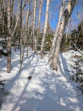 Trail up RoosterComb
