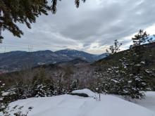 View from RoosterComb