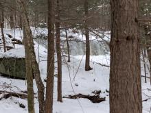 Ice on Flume Brook Trail