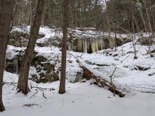 Ice on Flume Brook Trail