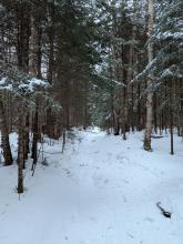 Trail up to Lake Arnold