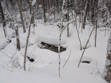 Trail to Street and Nye