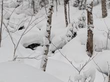 Trail to Street and Nye