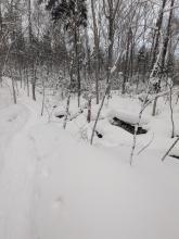 Trail to Street and Nye