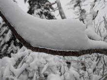 Trail to Street and Nye