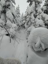 Trail to Street and Nye