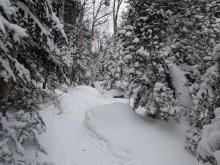 Algonquin Trail