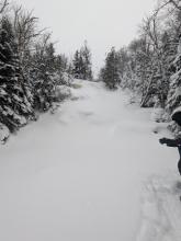 MacIntyre Falls looking up