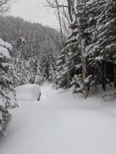 MacIntyre Falls looking down