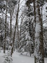 First views of Saddleback