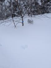 Trail marker along slide