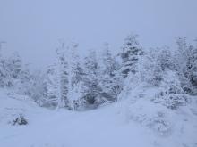 View from Saddleback