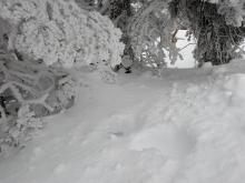 Trail marker on the top of Saddleback... just above the snow.