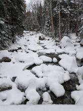 Marcy Brook by Avalanche Camp
