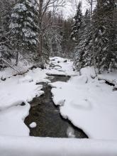 Marcy Brook by Avalanche Camp