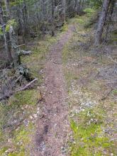Trail to Porter