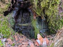 ice along trail