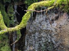 ice along trail