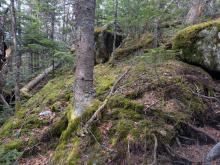 Trail up Hurricane