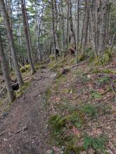 Trail up Hurricane