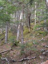 Trail up Hurricane