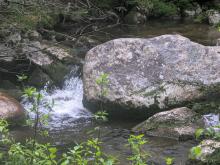 Brook along Klondike Trail