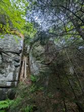 Wall along Yard trail