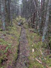 Trail between Yard and Big Slide