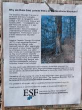 Description of ESF Experiment