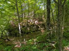 Trail up Goodnow