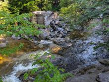 Indian Pass Brook Crossing