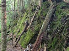 Trail to Preston Pond