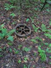 Trail to Duck Hole