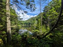 Hunter Pond