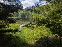 Hunter Pond