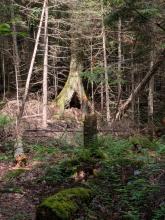 Trail to Duck Hole