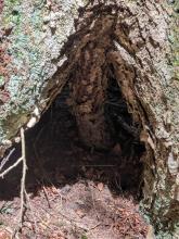Trail to Duck Hole