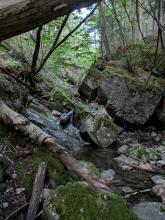 Deer Brook Trail