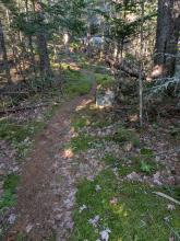 W. A. White Trail