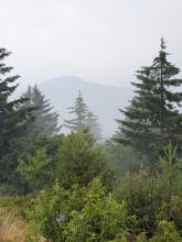 Goodman from Coney Mt.