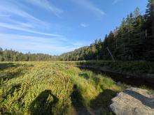 Calamity Pond